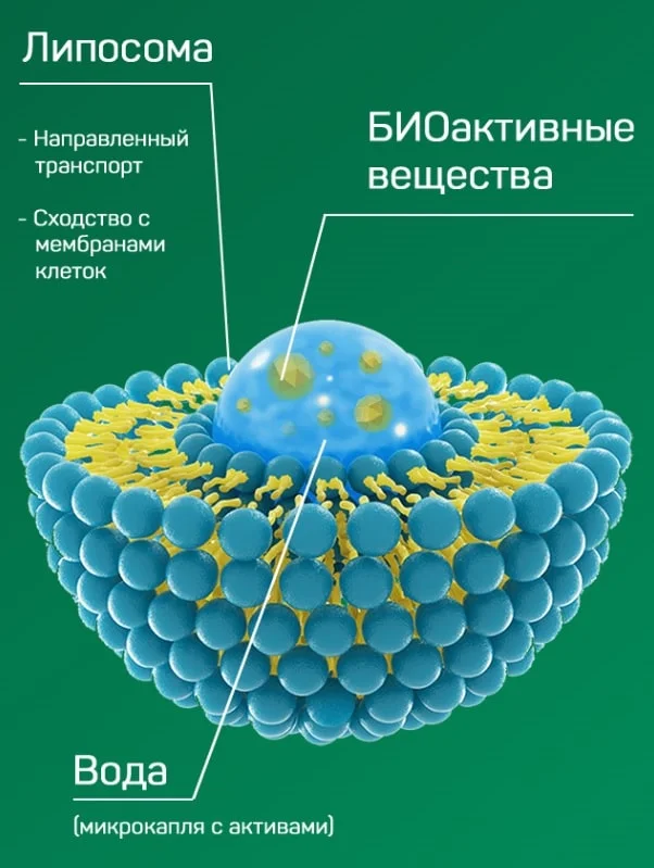Фармакокинетика и фармокодинамика препарата Фабитол от паразитов