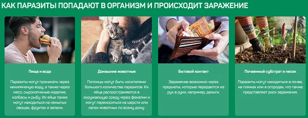 Как паразиты попадают в организм и происходит заражение