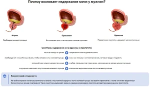 Почему возникает недержание мочи у мужчин