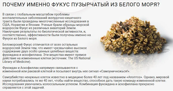Почему в составе Пилориса присутствует фукус пузырчатый из Белого моря