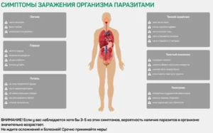 Симптомы заражения организма паразитами