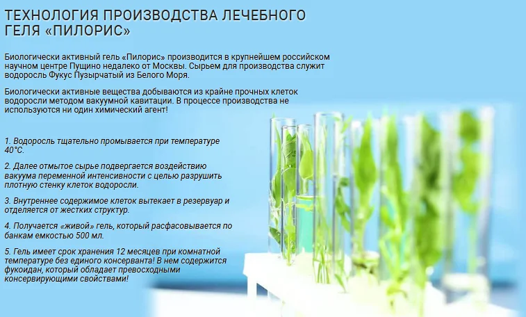 Технология производства лечебного геля Пилорис от запоров