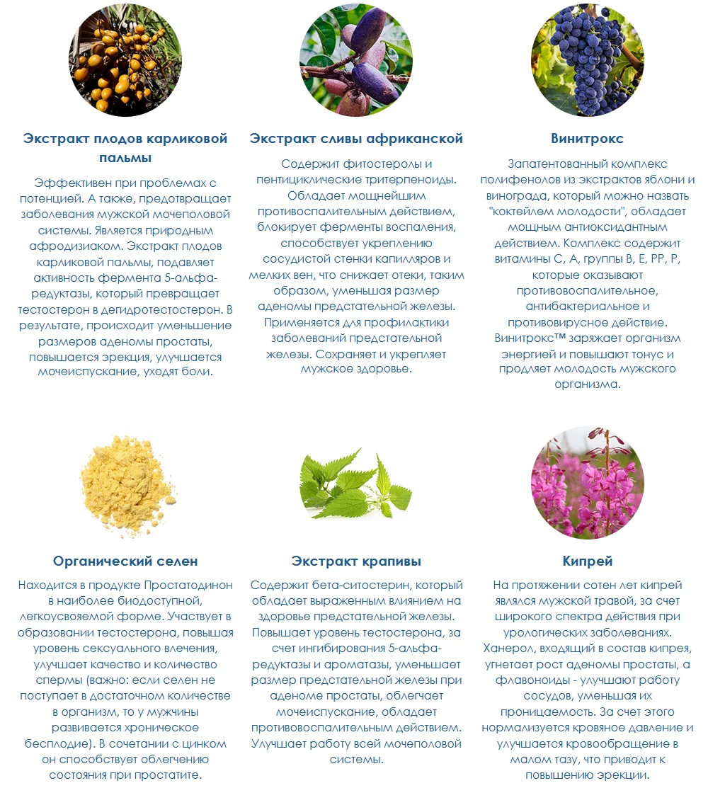 Действие и состав препарата Простатодинон