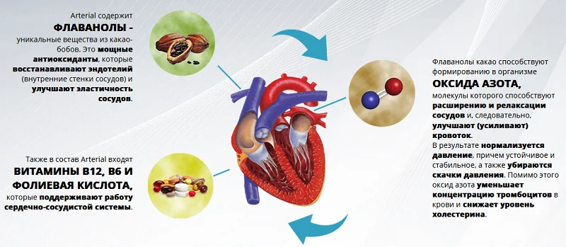 Состав Артериал (Arterial) препарата от давления и очищения сосудов