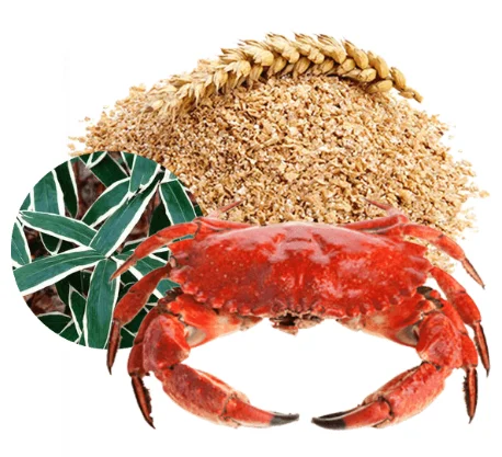 Состав препарата ДжиДжу Сэйсэ от сахарного диабета