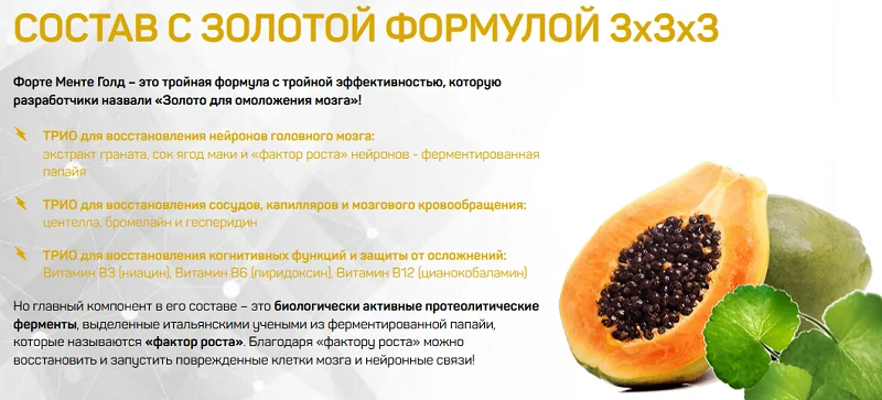 Состав препарата Форте Менте Голд для омоложения и здоровой работы мозга