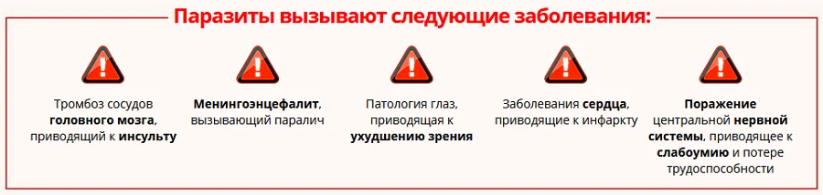Какие заболевания вызывают паразиты