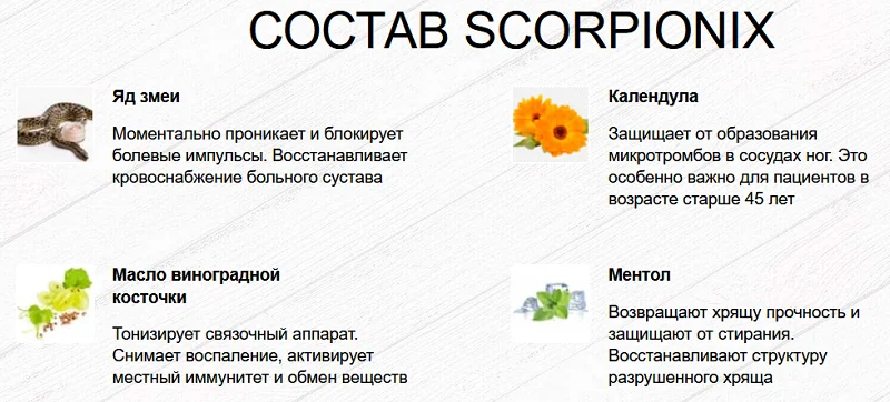 Состав мази Скорпионикс (Scorpionix) для лечения суставов и связок