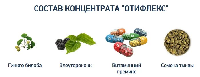 Состав препарата для улучшения слуха Отифлекс