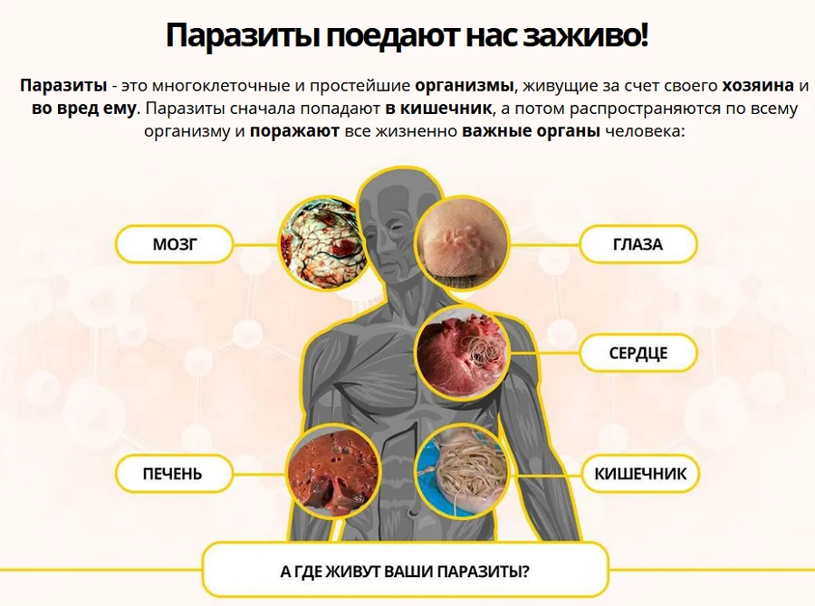 В каких органах человека живут паразиты