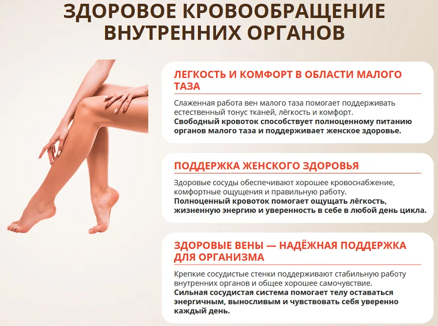 Здоровое кровообращение внутренних органов