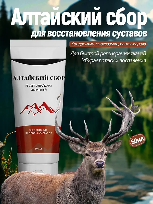 Алтайский сбор эффективное средство для восстановления суставов