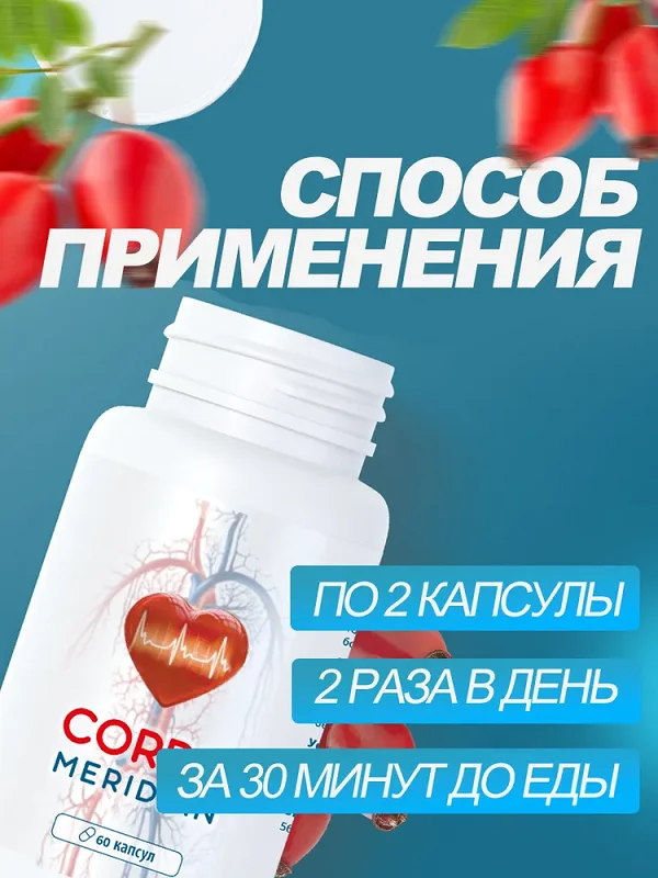 Инструкция по применению Кордис Меридиан (Cordis Meridian) капсулы от давления