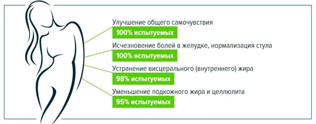 Какое оказывают влияние капсулы B-FIT для похудения в целом на организм человека