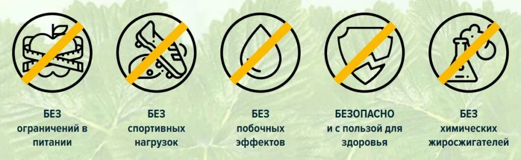 Капсулы для похудения B-FIT благотворно влияют на организм человека