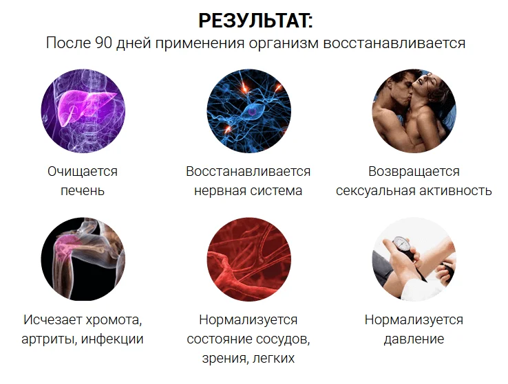 После 90 дней применения препарата Алкостоп от алкоголизма организм восстанавливается