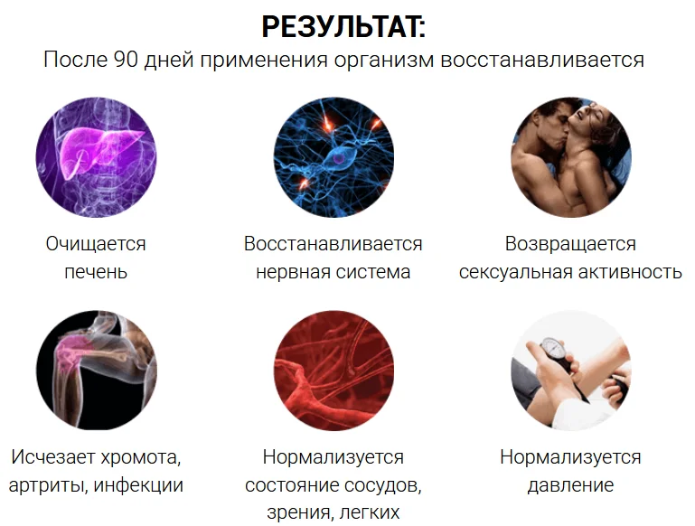 После 90 дней применения средства Алкобарьер от алкоголизма организм восстанавливается