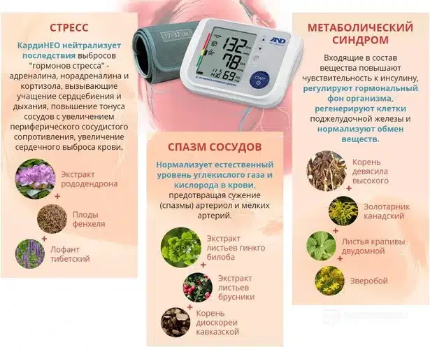 Состав препарата Кардинео капсулы от давления
