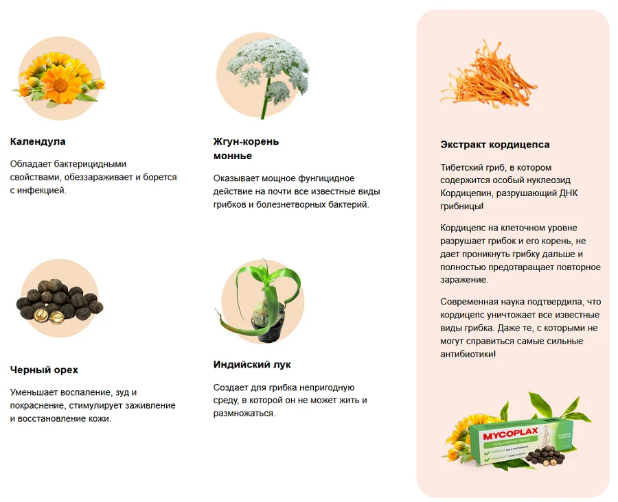Состав препарата Mycoplax (Микоплакс) геля от грибка