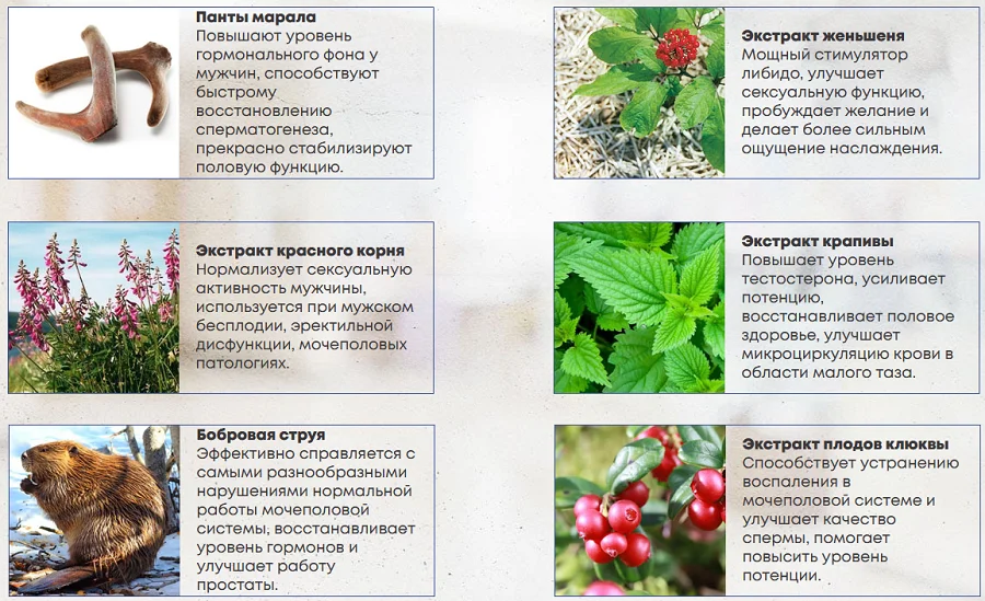 Состав препарата Сила Султана для мужчин