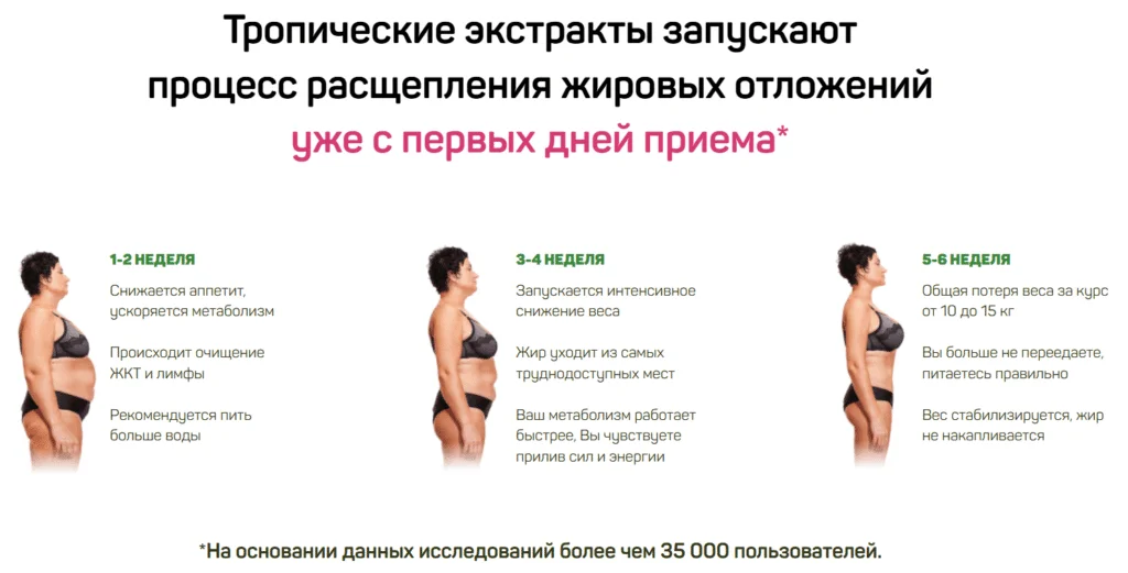 Тропические экстракты запускают процесс расщепления жировых отложений уже с первых дней приема