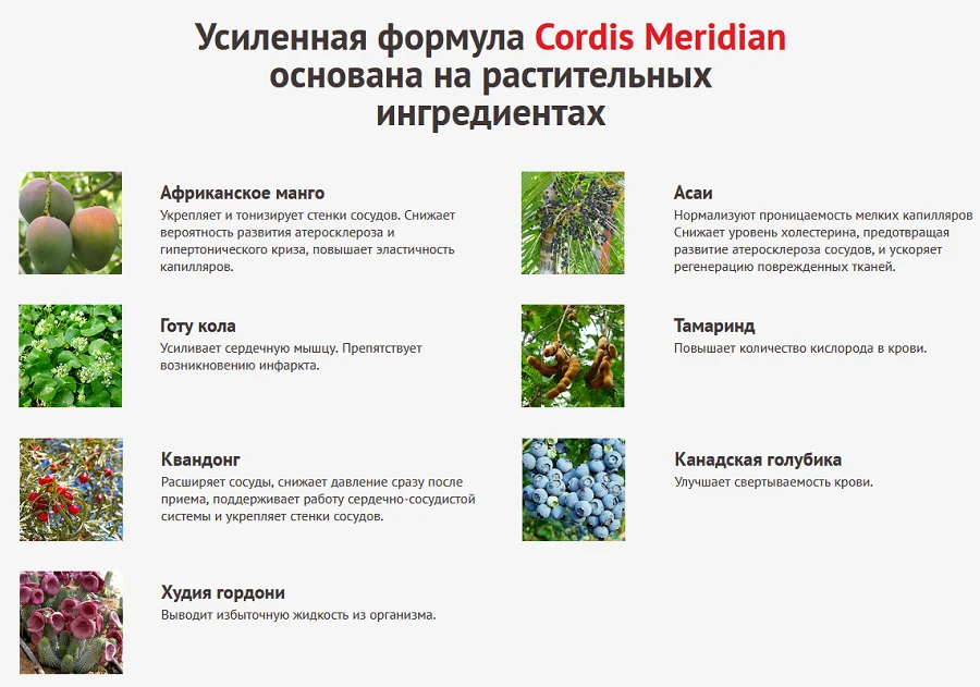 Усиленная формула Cordis Meridian основана на растительных ингредиентах