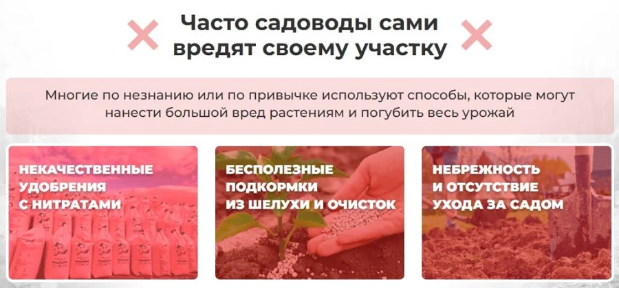 Часто садоводы сами вредят своему участку