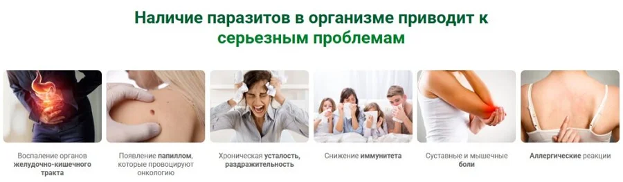 Наличие паразитов в организме приводит к серьезным проблемам