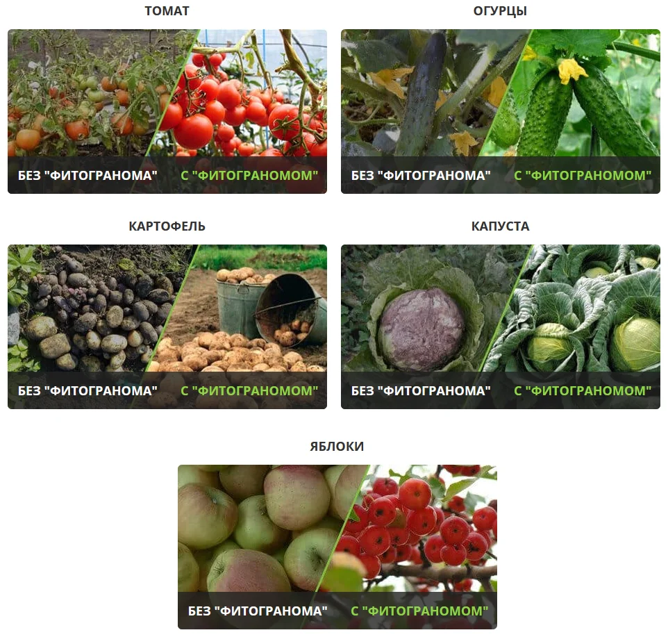 Почему стоит попробовать удобрение Фитограном7в1