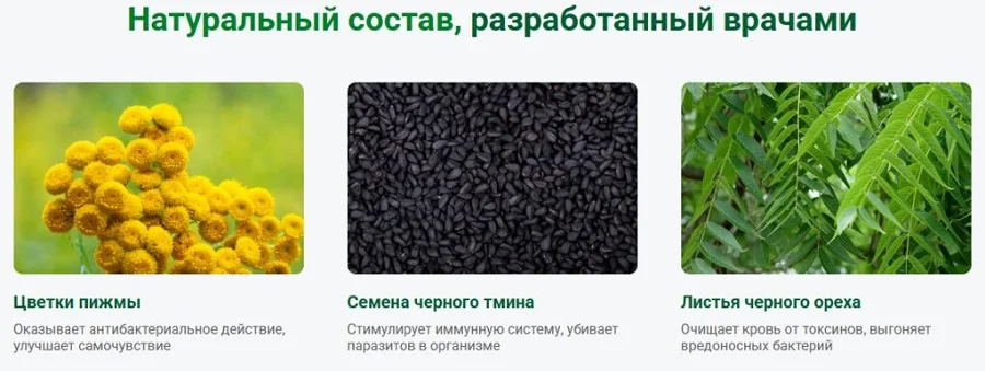 Препарат Бактери Форм имеет натуральный состав разработанный врачами