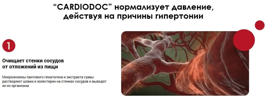 Препарат CardiDoc (КардиоДок) нормализует давление действуя на причины гипертонии (картинка 1)
