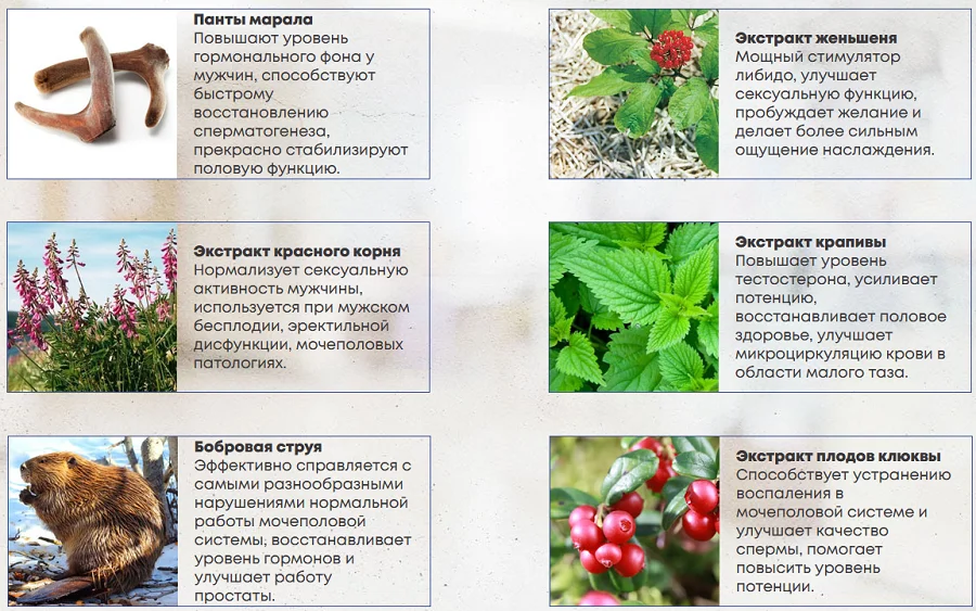 Состав препарата Power Force Max таблетки для потенции для мужчин