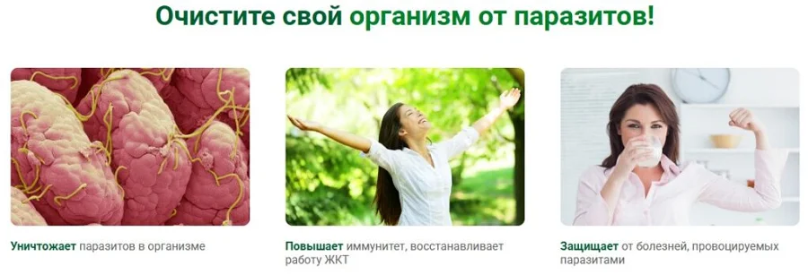 С препаратом Бактери Форм очистите свой организм от паразитов!