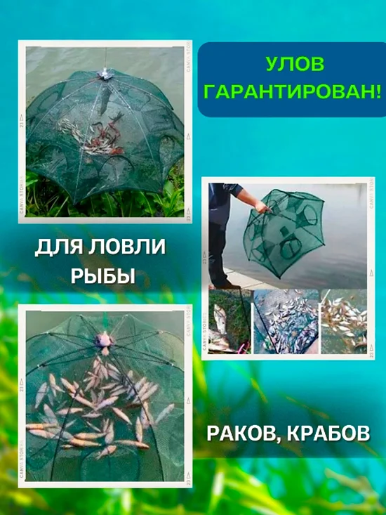 С усовершенствованной вершей паук на 8 входов улов гарантирован!