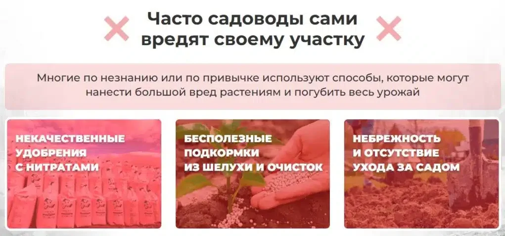 Часто садоводы сами вредят своему участку