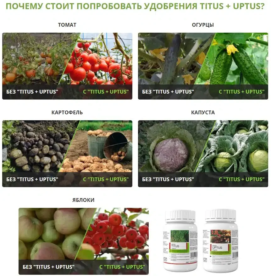 Почему стоит попробовать удобрение TITUS + UPTUS?