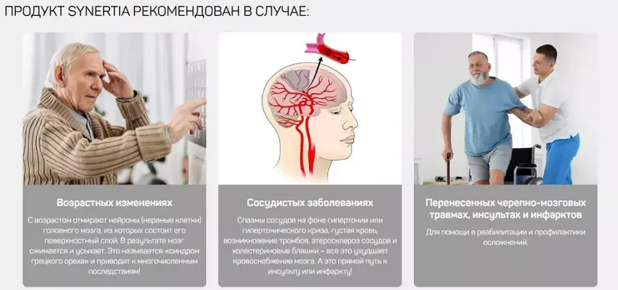 Препарат Synertia (Синертиа) саше для мозга рекомендован в случае (картинка 1)