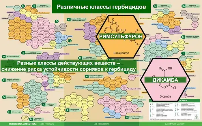 Разные классы действующих веществ - снижение риска устойчивости сорняков к гербициду