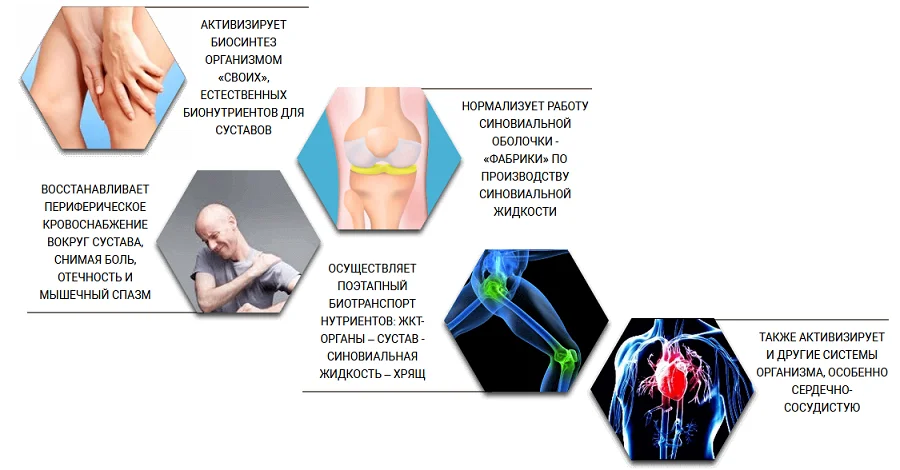 Результат применения комплекса Артрон Меридиан (Arthron Meridian) для суставов
