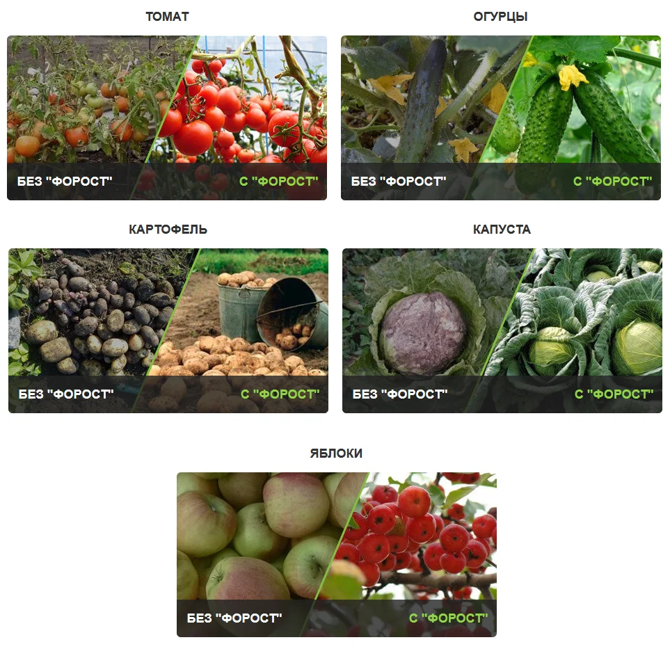 Результаты после применения удобрения Форост