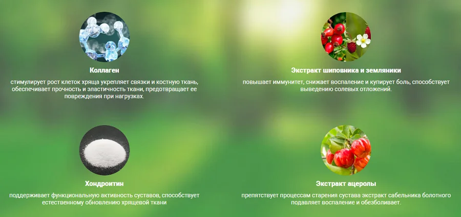 Состав эффективного комплекса Артрон Меридиан (Arthron Meridian) для суставов