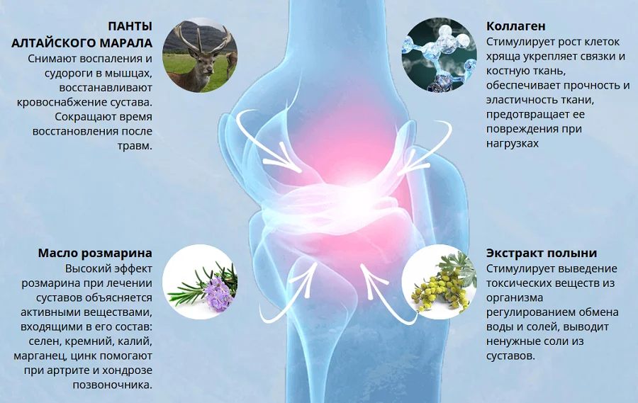 Состав мази для суставов Rapid Relief