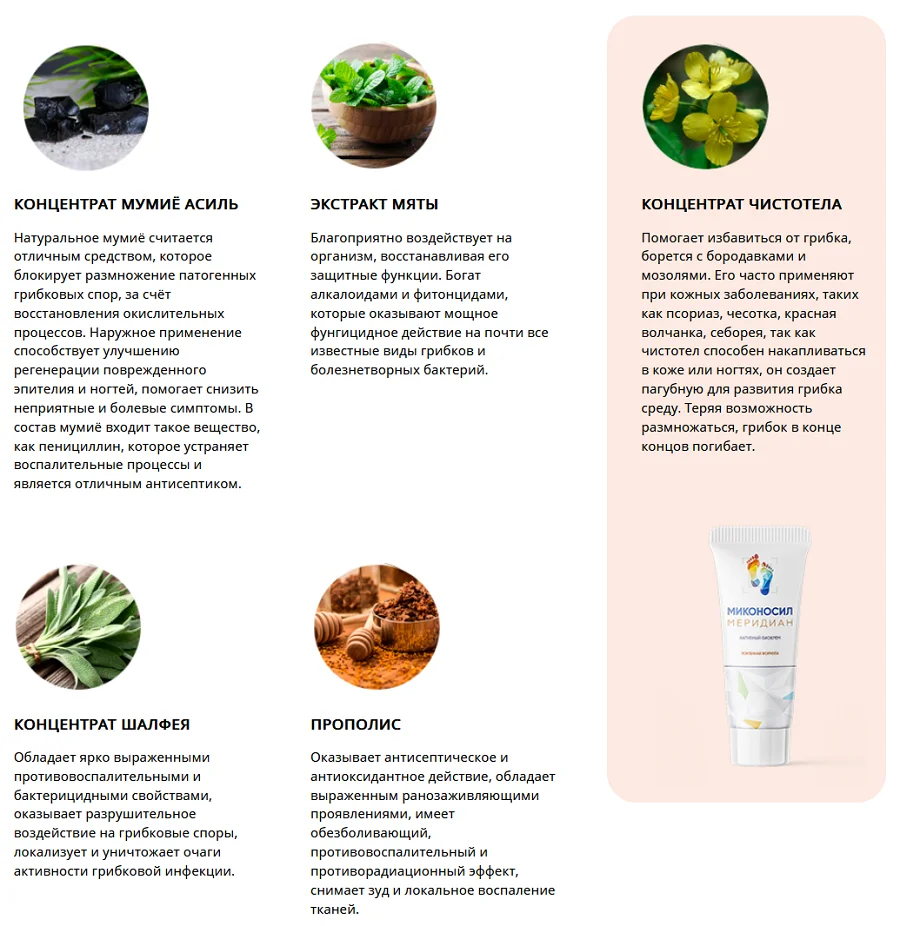 Состав препарата Миконосил Меридиан крема от грибка ногтей на ногах и кожи