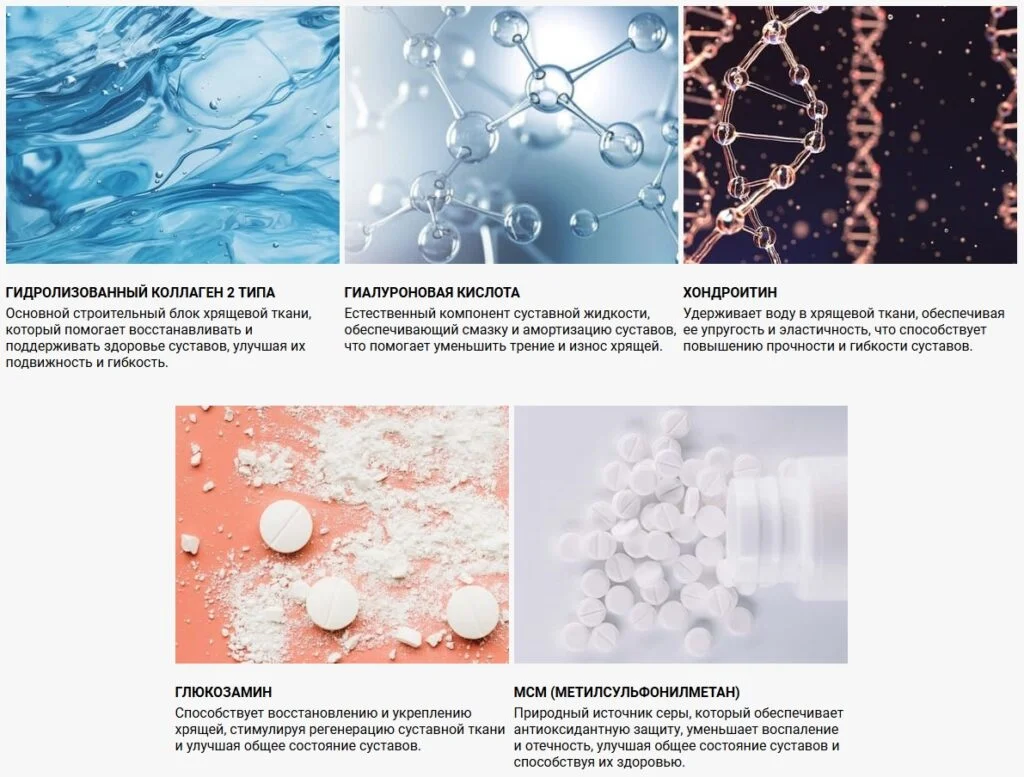 Состав препарата Трисустал мазь для суставов и мышц