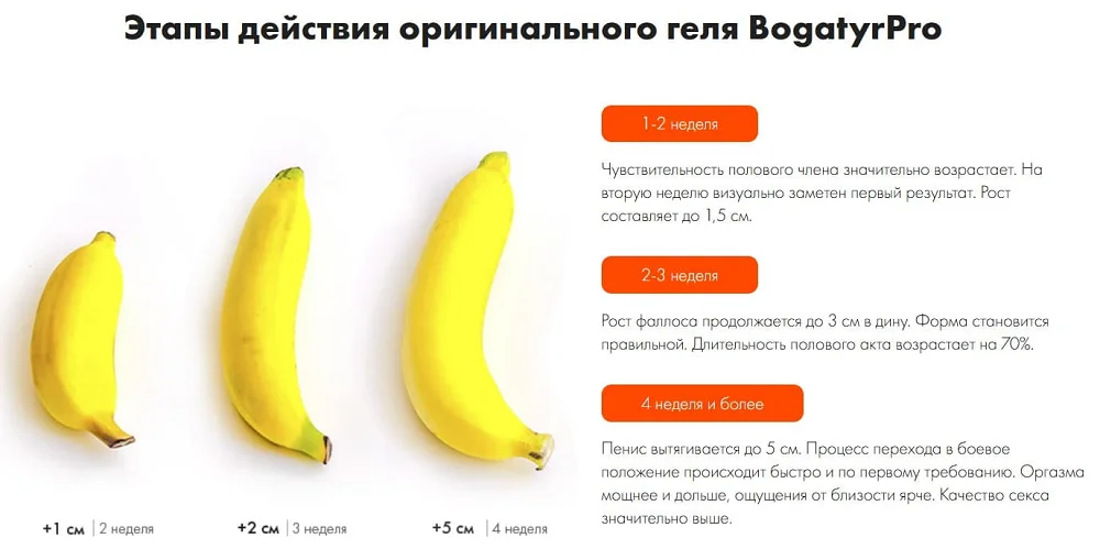 Этапы действия оригинального геля BogatyrPro (БогатырьПро) для увеличения члена