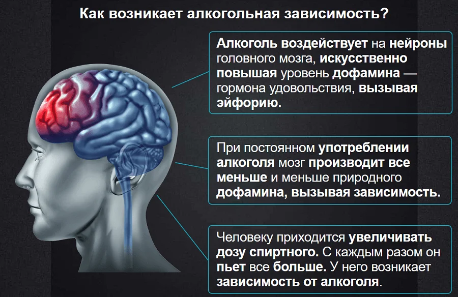 Как возникает алкогольная зависимость?