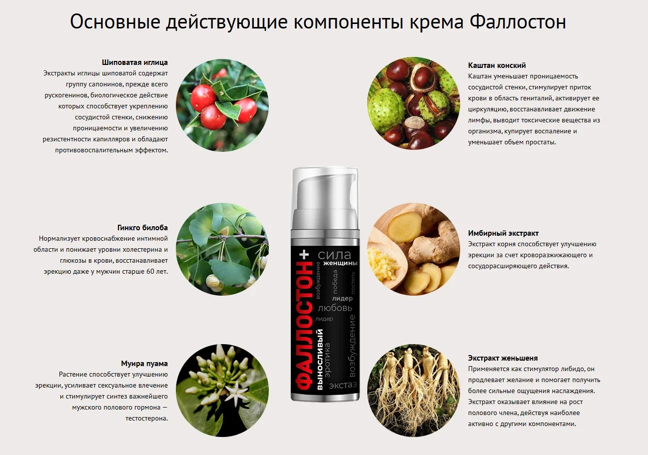 Основные действующие компоненты крема Фаллостон+ для увеличения члена