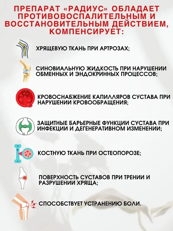 Преимущества препарата Radius (Радиус) для суставов и связок