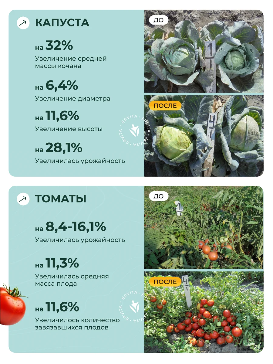 Результаты после применения удобрения Эрвита