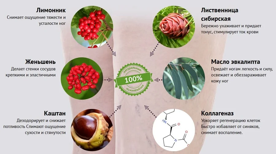 Состав геля от варикоза Флебогель